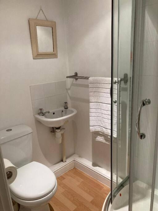 Studio Annexe With Separate Shower Room Broadhempston Extérieur photo